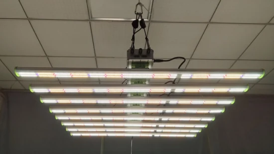 800W 垂直農業インテリジェント制御調整可能なフルスペクトル LED 成長ライト屋内植物用